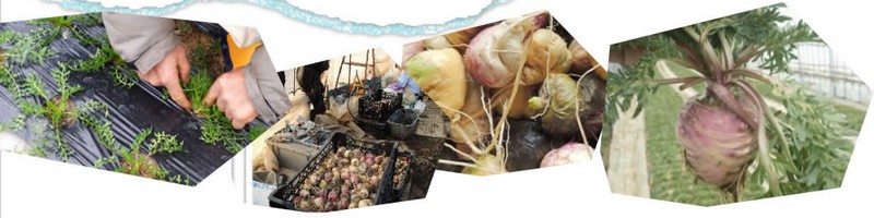 �X�N���p�yfull-me MACA�z���T�C�g